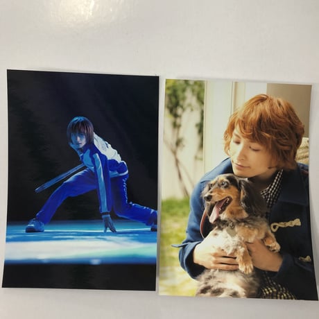 矢田悠祐 | STORES