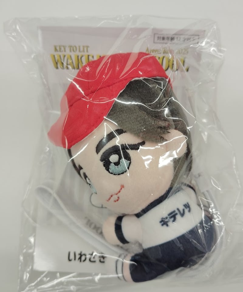 KEY TO LIT WAKE UP THE FOOL ツアーグッズ 新品未開封 ルル☽ on X: 