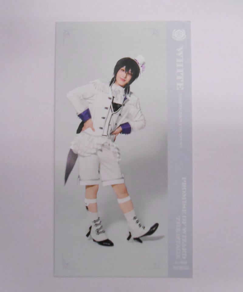 魔法使いの約束 コミック購入特典 店舗別特典 ポストカード スノウ