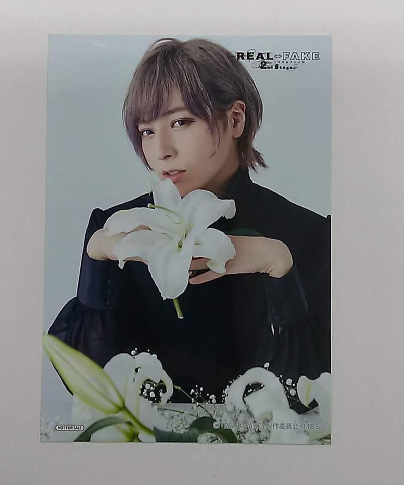 蒼井翔太 REAL⇔FAKE 2nd Stage CD購入特典ブロマイド | K-BOOKS