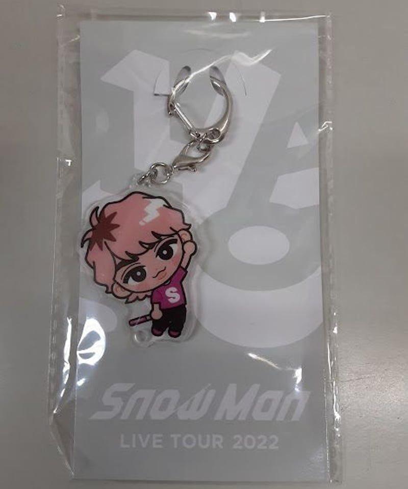 SnowMan スノーマン アクリルキーホルダー フル 全員 アクキー  