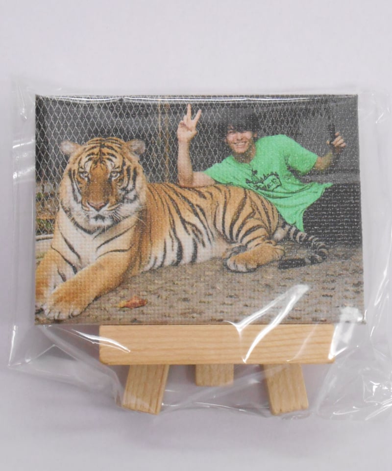 オガッタ!?」 オガステ!?9 オガミニキャンバスアート 高野洸② | K