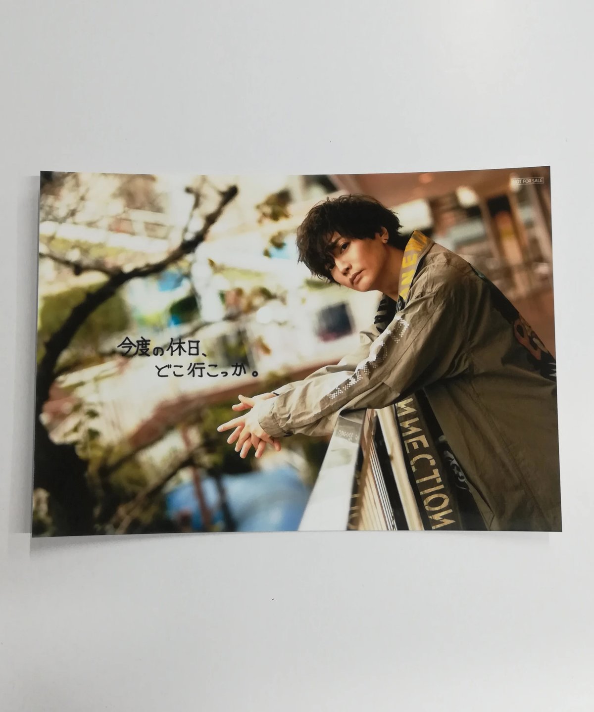 浅沼晋太郎 声優アニメディア 2024年 Winter 冬号 アニメイト通常版