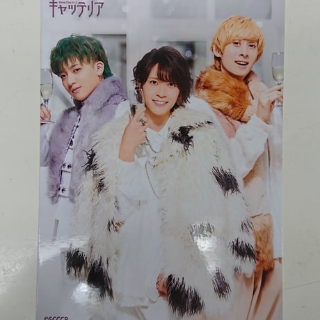 StrayCityシリーズ Club キャッテリア Blu-ray Club ドーシャ StrayCityシリーズ Club キャッテリア Blu-ray Club ドーシャ