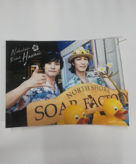 サルヴァトーレ サイン色紙 鳥海浩輔 サルヴァトーレ サイン色紙 鳥海浩輔