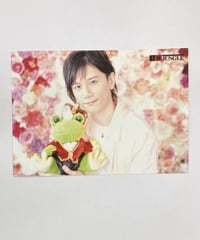 KENN 第257回 王様ジャングル ブロマイド⑯
