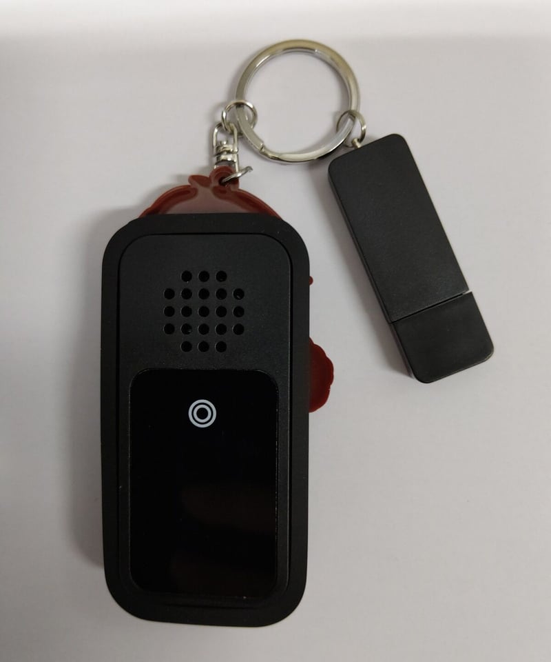 津田健次郎 しゃべるオリジナルマスコット付USBメモリ (電池欠品) | K
