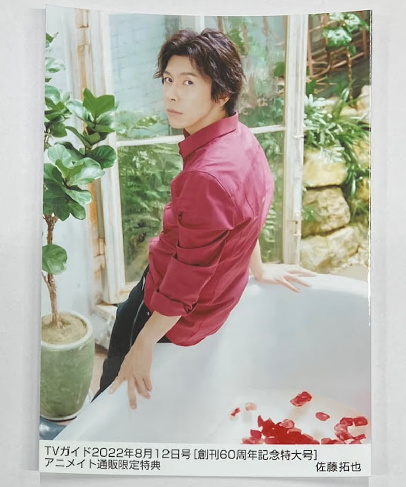 佐藤拓也 TVガイド 2022年8月12日号 [創刊60周年記念特大号