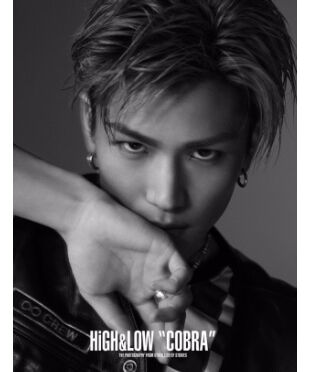 Amazon.co.jp: 中 HiGH & LOW COBRA2個セット クッション岩田剛
