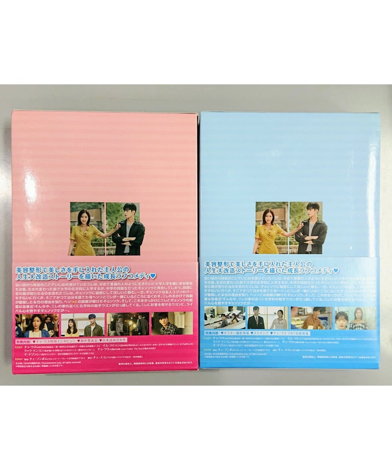 ASTRO チャ・ウヌ主演 『私のIDはカンナム美人』DVD-BOX 1&2 セット