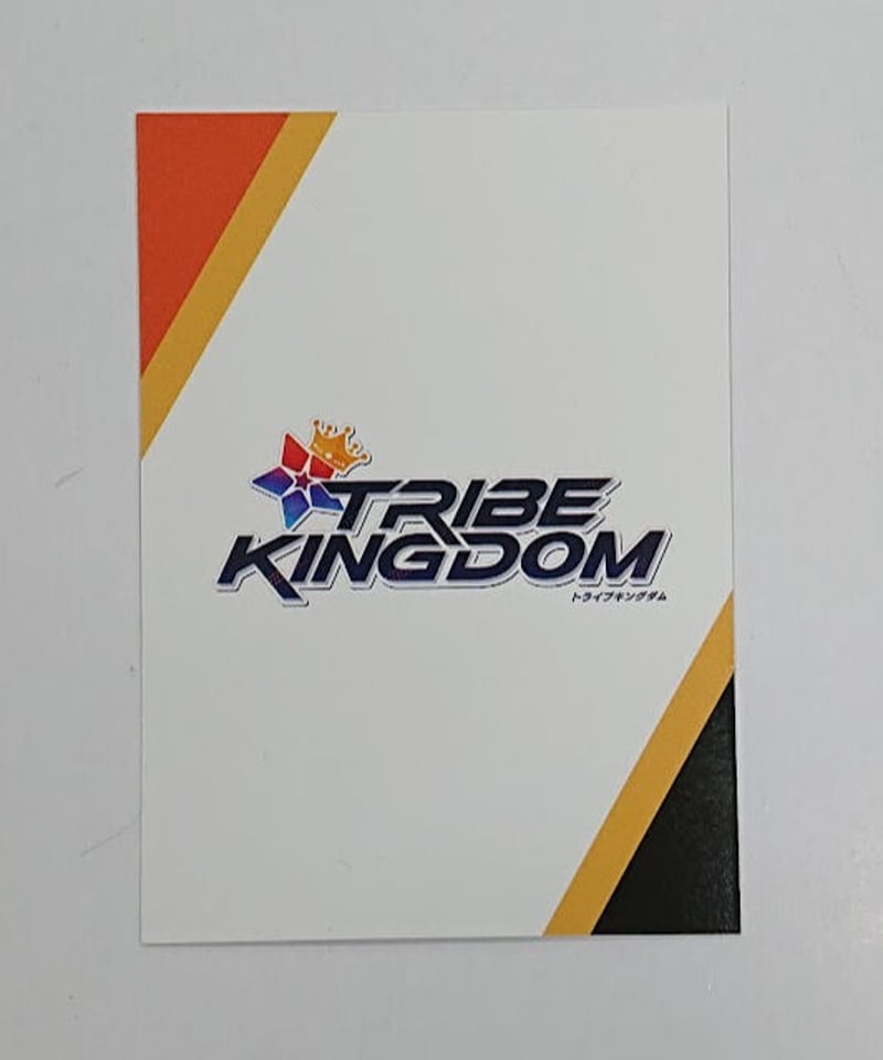 カード専用 FANTASTICS 八木勇征 TRIBE KINGDOM フォトカード