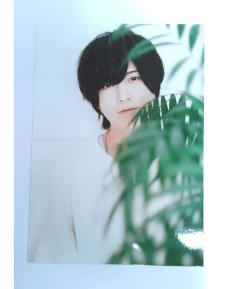 斉藤壮馬 “5th Anniversary Live” étranger ブロマイド B③ |