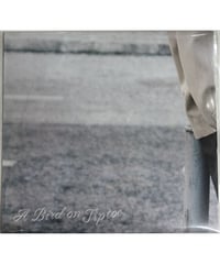 【単品】 timelesz 佐藤勝利 1st写真集『A Bird on Tiptoe』 ＜ファンクラブ会員限定版＞ 折りたたみA3ポスター