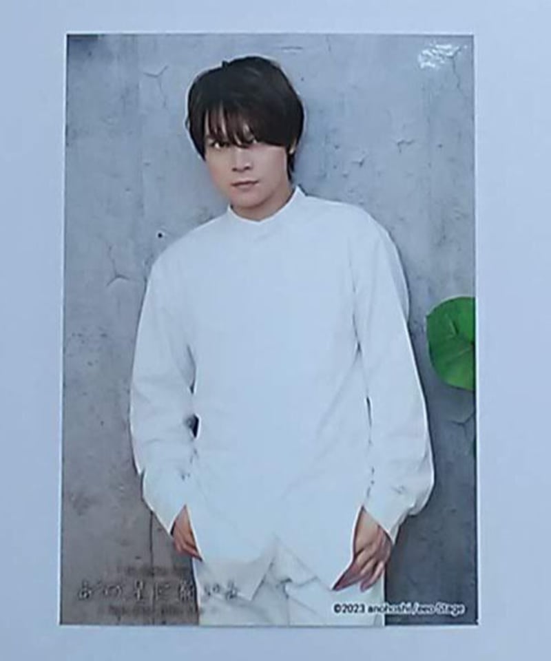 朗読劇 あの星に願いを 狩野翔 サイン入り ブロマイド ① fit=scale-down,w=1200
