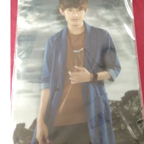 SnowMan向井康ニクリアファイル