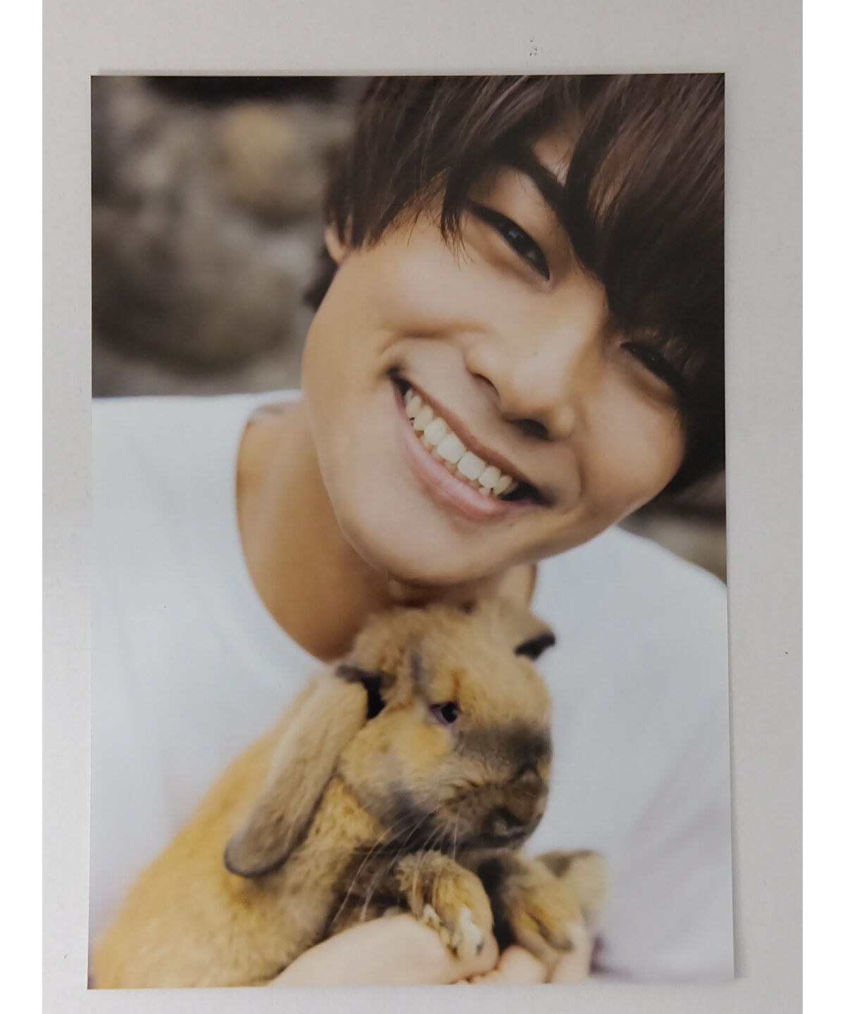 八代拓　ブロマイド　７枚 八代拓 特典ブロマイドの通販 by yuki's shop｜ラクマ