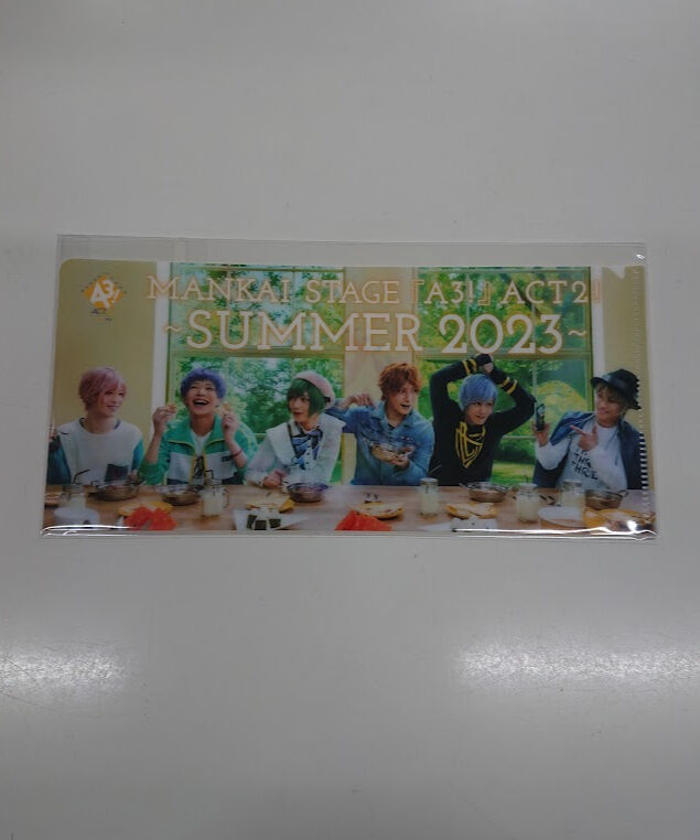 エーステ 夏単独 チケット タレントグッズ エーステ 夏単独 チケット