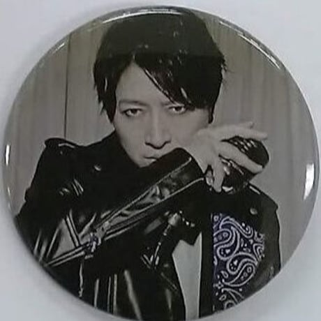 DGS 神谷浩史 小野大輔 缶バッジ 神谷浩史・小野大輔のDear Girl～Stories～「DGS博覧会Re-Duct