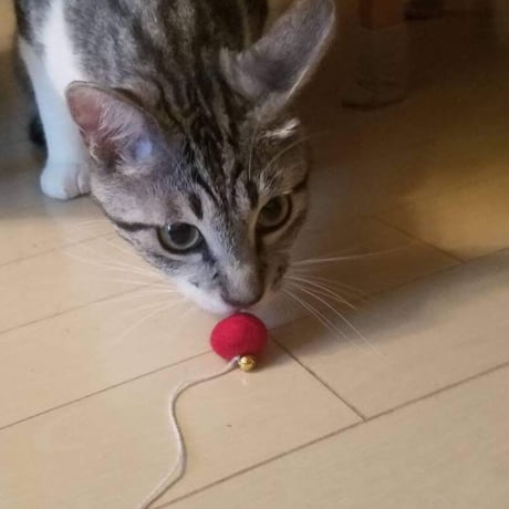 鈴付きネコのおもちゃ