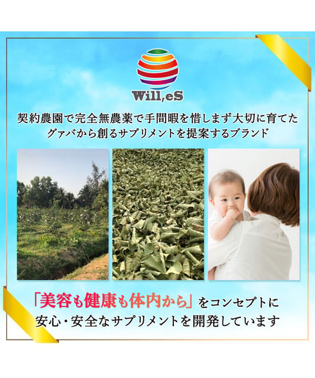 【お得＆便利な15％OFF定期購入】妊娠中のママ専用　和漢Slimlabo　スリムラボ