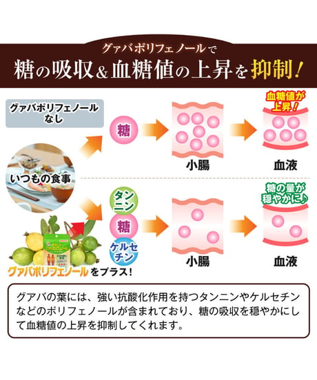 まるごとグァバポリフェノール