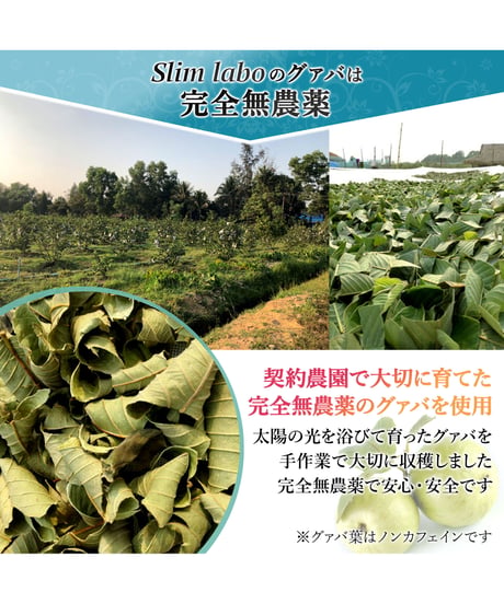 Slimlabo　ママのノンカフェインネイチャーサプリメント   スリムラボ