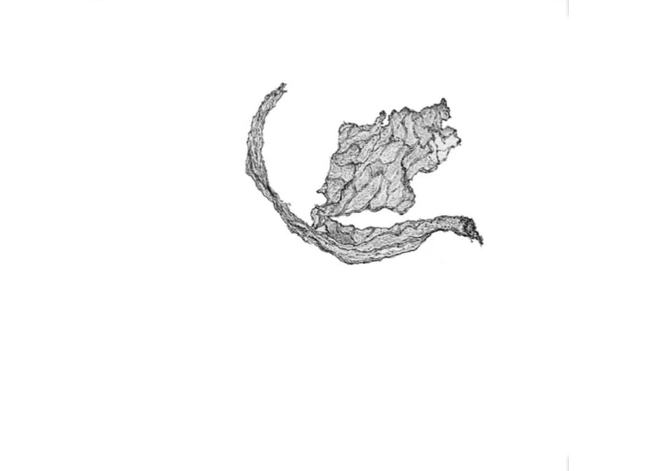 5ff6b42b8a457272cabcfd66