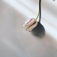 tさま専用ページ