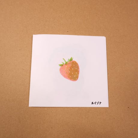ルイゾナ ／ zine "ichigo"