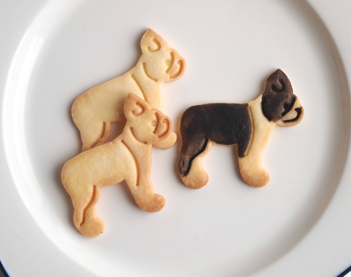 ボストンテリア ST19PT46-M01B-1600-1.jpg?v=