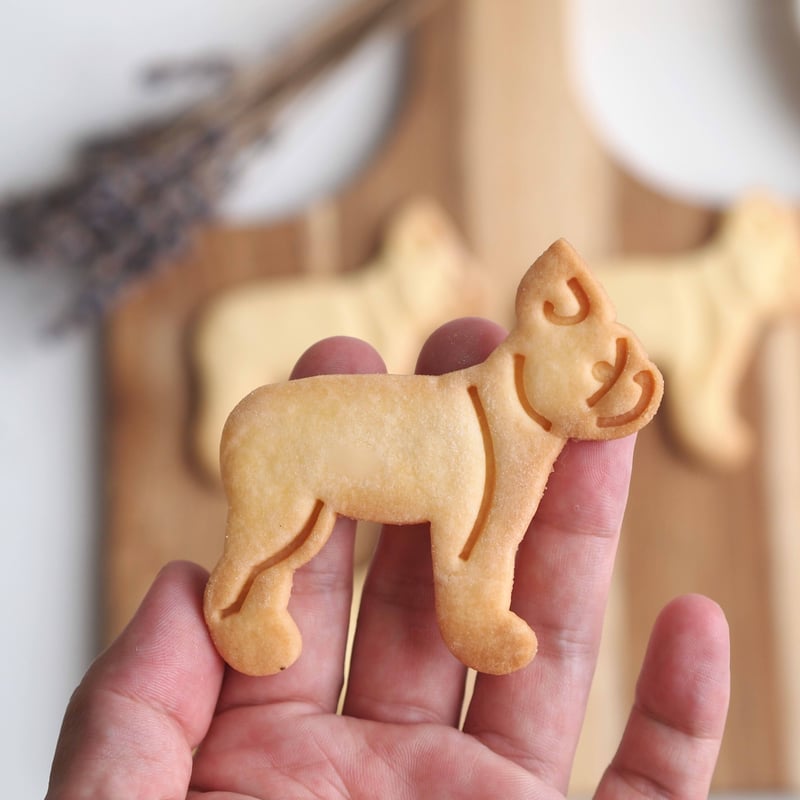 クッキー型 ボストンテリア横向き | めめぱん-memepan-