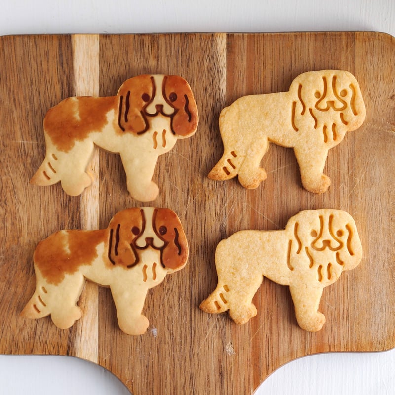 クッキー様 クッキー型 キャバリア横向き | めめぱん-memepan-