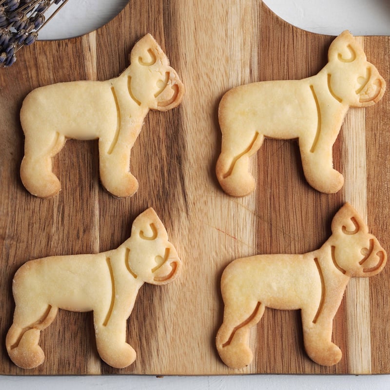 クッキー型 ボストンテリア横向き | めめぱん-memepan-