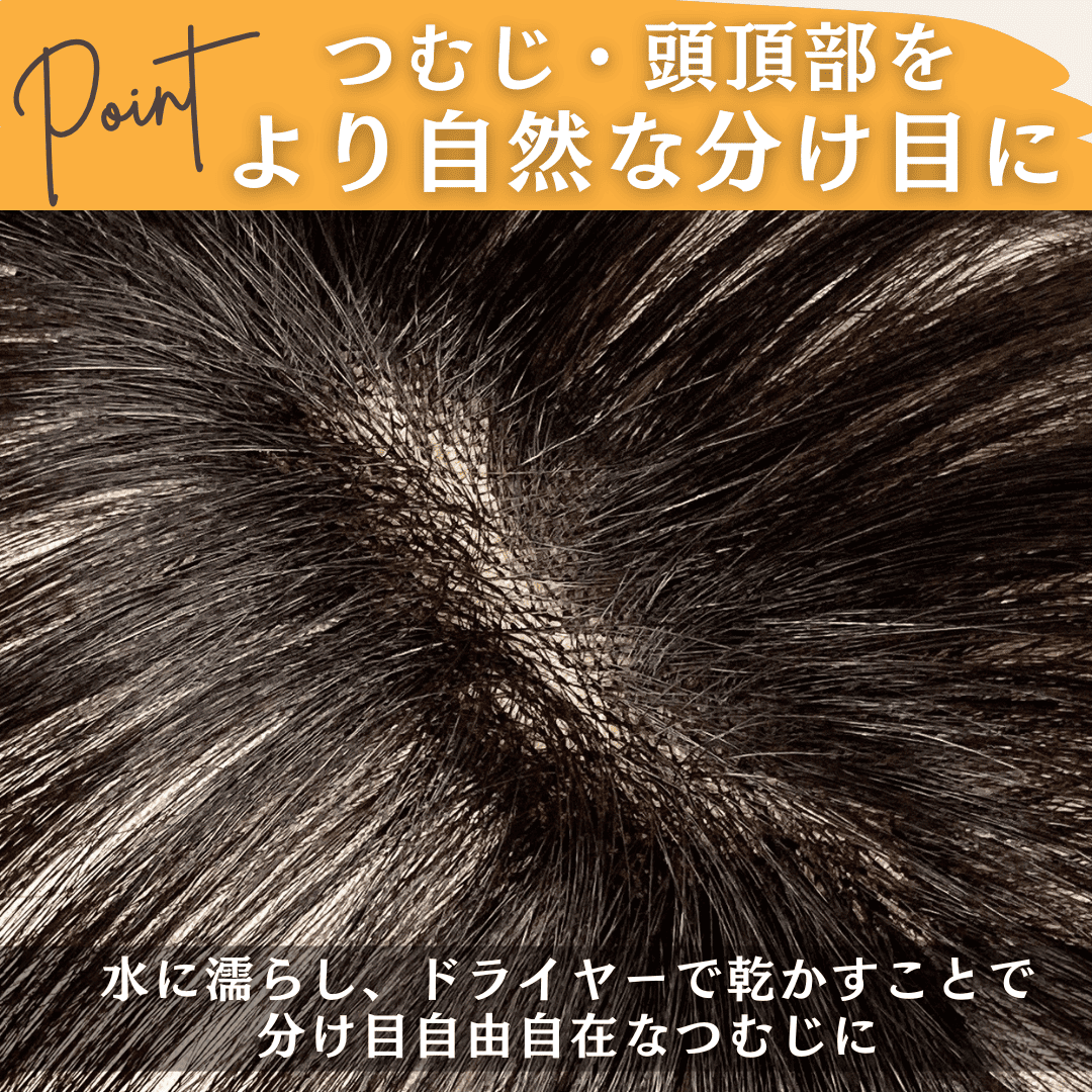 ピンなし ウィッグ ピン無し部分ウィッグ 頭頂部 白髪隠し 部分 ピン