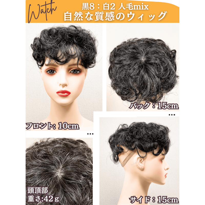 白髪ウィッグ 白髪ショート 部分ウィッグ かつら ヘアピース ポイント