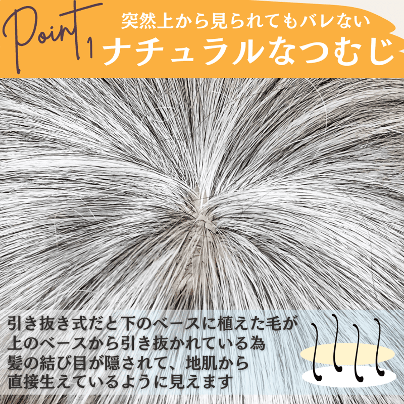白髪ウィッグ 白髪ショート 部分ウィッグ かつら ヘアピース ポイント
