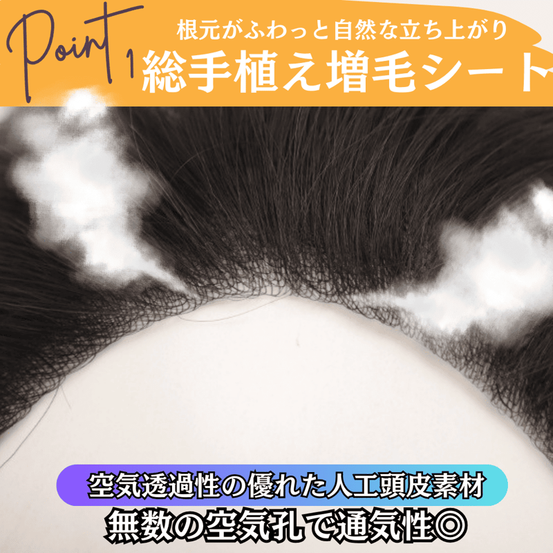 部分ウィッグ 貼るウィッグ 人毛100% 生え際 総手植え 貼る増毛 増毛