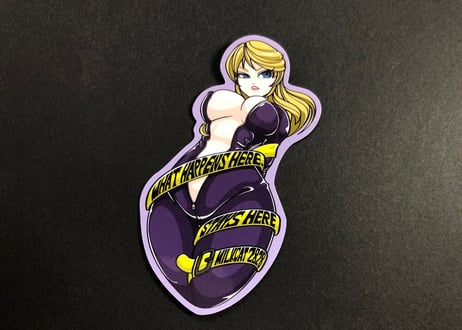 女スパイ SOS 「ここで起きたことはここだけの秘密」