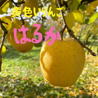 希少な小さめリンゴ"はるか" 3kg