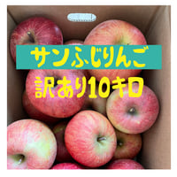 訳あり品　サンふじリンゴ！　10kg