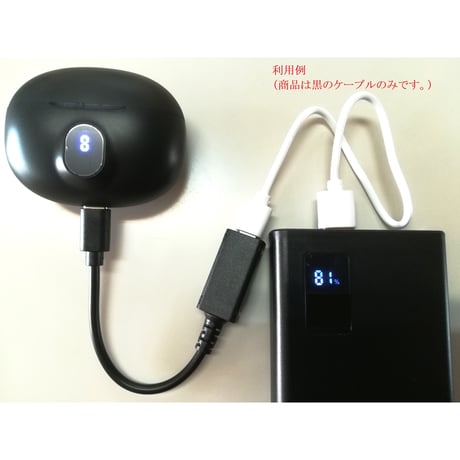 オートパワーオフ(無負荷時自動停止) キャンセラー ＜カレントキーパー/スリープ防止＞USB PD対応版