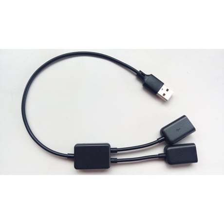 純正punkworksop タイプc 純正punkworksop タイプc Amazon.co.jp: PD240W USB Type C