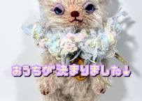 ぷちモヘアベア★ボリジピンク#359