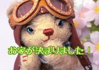 パイロットベア#231 (現品)
