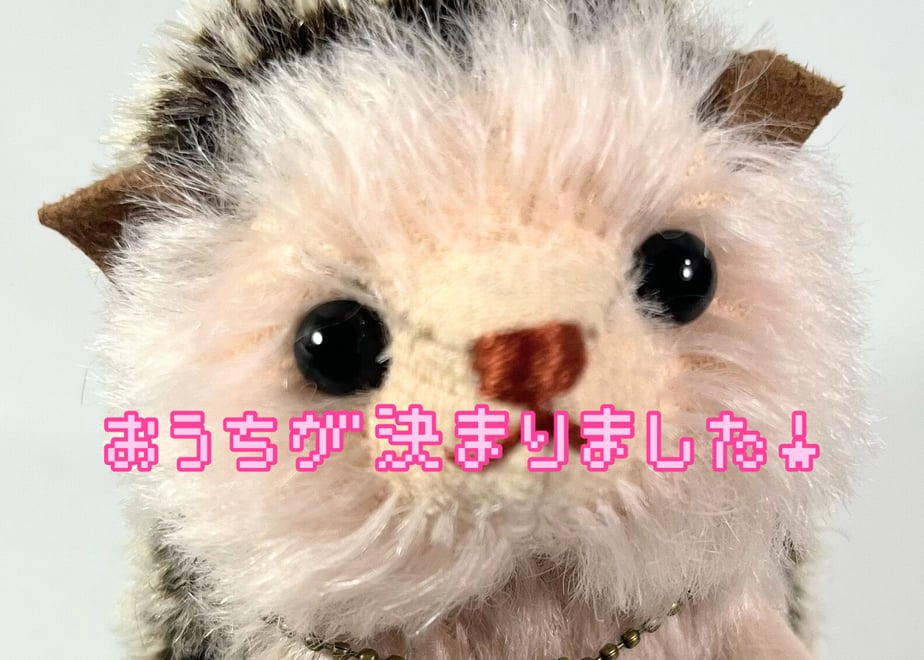 63cf2fb2bb2d9a6510df1fce