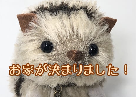 ハリネズミ#219