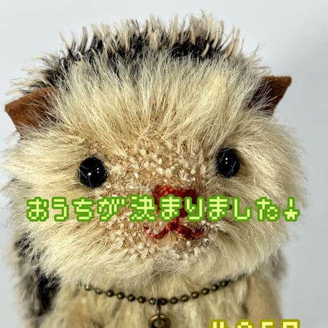 ステファン・ジョンソン WWF ハリネズミ陶板20cm