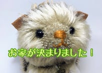 モヘアのハリネズミ#133(現品)