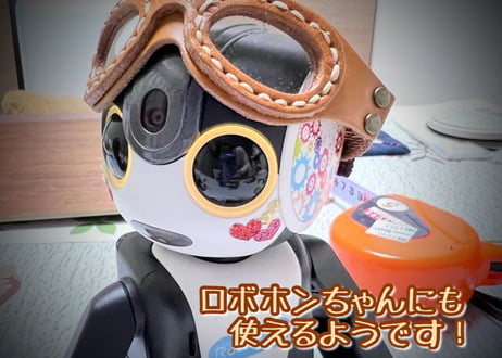 【ゴーグル(大 )】20cmドール／ロボホン用