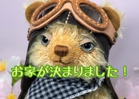 パイロットベア#229 (現品)